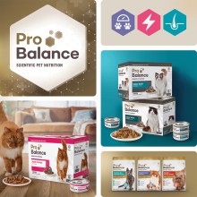 Energi Packaging Design for Pro Balance Cat Food 